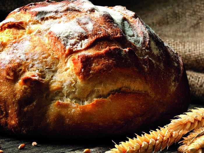 COMBIONLINE - Altamura bread