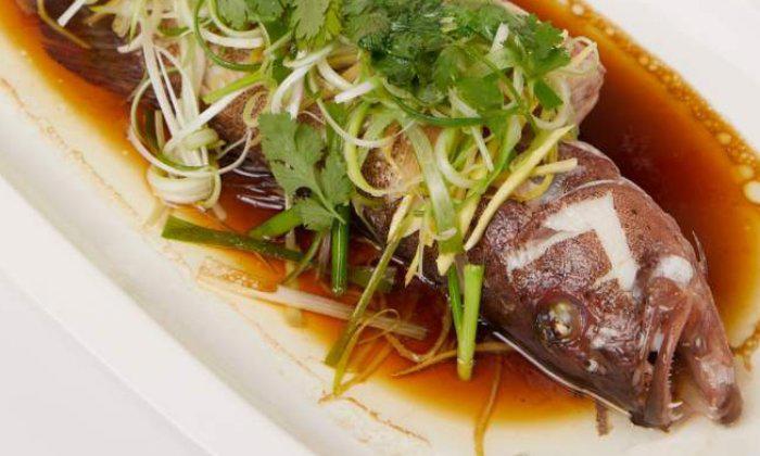 COMBIONLINE - Steam garoupa with light soy sauce
